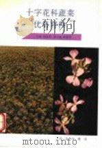 十字花科蔬菜优势育种 1993 PDF电子版封面 7109030822 何启伟主编