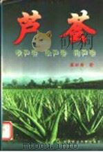 芦荟 识芦荟 栽芦荟 用芦荟 1999 PDF电子版封面 7810660993 熊佑清著