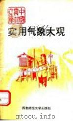 实用气象大观 1991.05 PDF电子版封面 7562105413 任久江等编