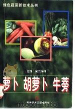 萝卜 胡萝卜 牛蒡 1998 PDF电子版封面 7502331530 宋元林等主编
