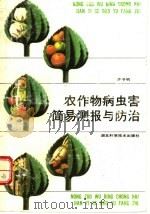 农作物病虫害简易测报与防治 1991 PDF电子版封面 7535206409 向子钧编著