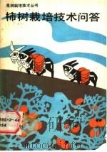 柿树栽培技术问答 1989 PDF电子版封面 7530804723 王永蕙,李树林编著