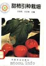 甜柿引种栽培 1995 PDF电子版封面 7109039862 王劲风,方正明主编