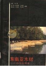 东南亚木材 识别及用途 1988 PDF电子版封面 7533701586 卫广扬主编