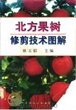 北方果树修剪技术图解（1998 PDF版）