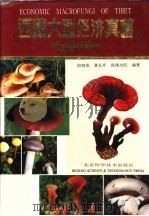 西藏大型经济真菌 1993 PDF电子版封面 7530412639 卯晓岚等编著