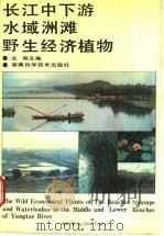 长江中下游水域洲滩野生经济植物 1993 PDF电子版封面 753571255X 文明主编;李一举等编写