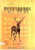 鹿的核型与染色体进化 1988 PDF电子版封面 7030003489 王宗仁,杜若甫著