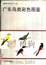 广东鸟类彩色图鉴 1991 PDF电子版封面 7535906133 华南濒危动物研究所主编