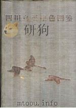 四川鸟类原色图鉴 1993 PDF电子版封面 7503811692 李桂垣主编;四川省林业厅编
