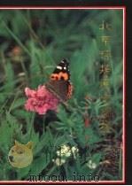 北京蝶类原色图鉴 1994 PDF电子版封面 7502321853 杨宏等著