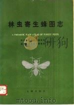 林虫寄生蜂图志 1990 PDF电子版封面 7805591377 陕西省林业科学研究所,湖南省林业科学研究所主编