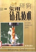 实用钻孔技术   1997  PDF电子版封面  7508202112  任兆应，张维纪编著 