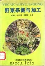 野菜采集与加工 1995 PDF电子版封面 7534915724 王遂义等主编