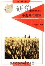 小麦高产栽培 1992 PDF电子版封面 7805725241 于振文等编著