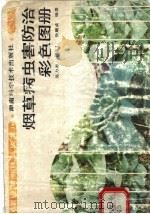 烟草病虫害防治彩色图册 1993 PDF电子版封面 7535712088 吴力游等编著