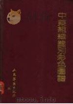 中药组织鉴别彩色图谱 1989 PDF电子版封面 7800201279 王玉玺等编著