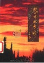 黎明的云彩 1998 PDF电子版封面 96258204118 肖野著