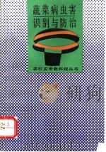 蔬菜病虫害识别与防治 1993 PDF电子版封面 7530916297 姚圣梅,王就光编著