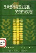 玉米遗传与玉米基因突变性状彩图 1989 PDF电子版封面 7030010620 宋同明编著
