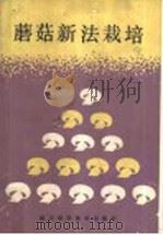 蘑菇新法栽培 1986 PDF电子版封面 7536412290 刘安民编著