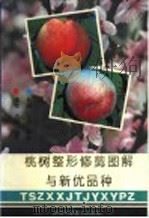 桃树整形修剪图解与新优品种（1993 PDF版）
