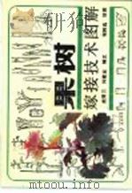 果树嫁接技术图解 1991 PDF电子版封面 7534907780 熊晋三,何建业编文;程阿选绘图