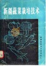 新疆蔬菜栽培技术 1992 PDF电子版封面 7537204160 高玉华主编