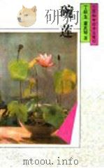 碗莲 1992 PDF电子版封面 7534512964 丁跃生,童兆琴编著
