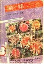 菊花 1989 PDF电子版封面 7532315169 倪月荷,汪觉先编著