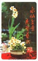 水仙盆景造型艺术 1988 PDF电子版封面 7533501047 蔡树木编著