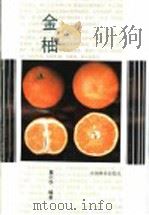 金柚   1991  PDF电子版封面  7503807938  蔡剑华编著 