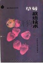 草莓栽培技术 1988 PDF电子版封面 7530802488 张国村,李德增编著