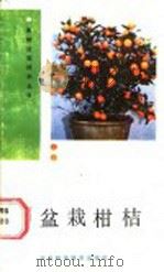 盆栽柑桔 1988 PDF电子版封面 7537500444 梁元冈,邱似德编著