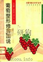 葡萄整形修剪图说（1992 PDF版）