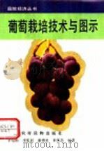 葡萄栽培技术与图示（1993 PDF版）