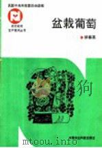盆栽葡萄 1992 PDF电子版封面 7800262901 郝春英编著