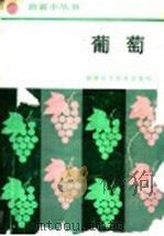 葡萄 1987 PDF电子版封面 7533500776 吴柏娇编著