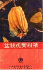 盆栽观赏柑桔 1989 PDF电子版封面 7534507936 邵忠编著