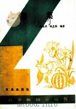 韭菜 1989 PDF电子版封面 7109011062 仇志荣,陆美英编著