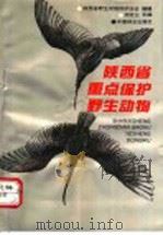陕西省重点保护野生动物 1991 PDF电子版封面 7503808209 闵芝兰主编;陕西省野生动物保护协会编辑
