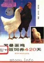 罗曼蛋鸡高效饲养420天 1993 PDF电子版封面 7536916701 阎凤琴,吕文纬编著