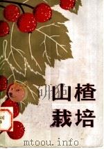 山楂栽培 1984 PDF电子版封面 16245·107 鄢德锐,韩德全编著