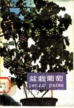 盆栽葡萄 1983 PDF电子版封面 16212·20 邹常镒编著