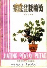 家庭盆栽葡萄（1982 PDF版）