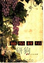 葡萄栽培（1982 PDF版）