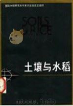 土壤与水稻  国际水稻研究所学术讨论会论文选译   1981  PDF电子版封面  16221·23  国外农学-水稻编辑部编 