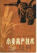 小麦高产技术 1985 PDF电子版封面 16217·115 胡广义,刘惠辰,白瑞珍编著