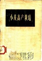 小麦高产栽培（1979 PDF版）