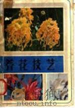 养花技艺 1982 PDF电子版封面 16096·83 许士捷编